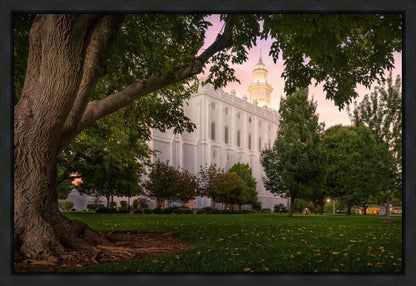 St. George Tree of Life