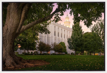 St. George Tree of Life