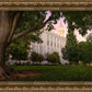 St. George Tree of Life
