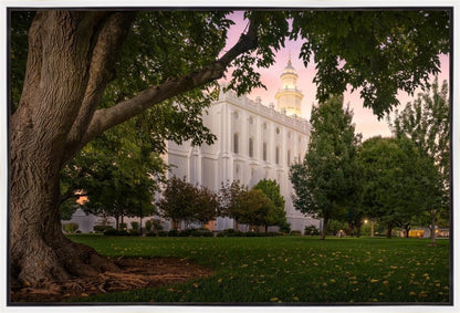 St. George Tree of Life