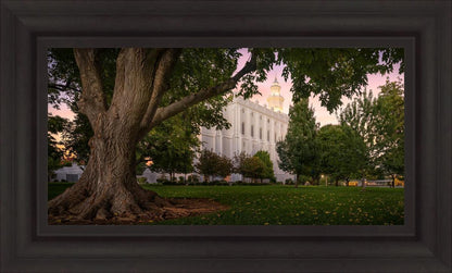 St. George Tree of Life