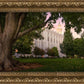 St. George Tree of Life
