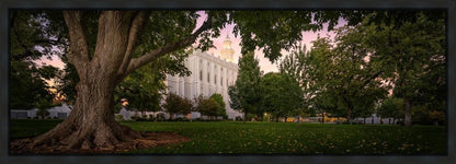 St. George Tree of Life