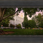 St. George Tree of Life