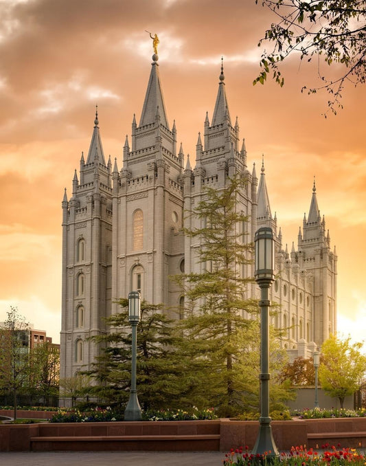 Salt Lake - The Promise Gallery Wrap