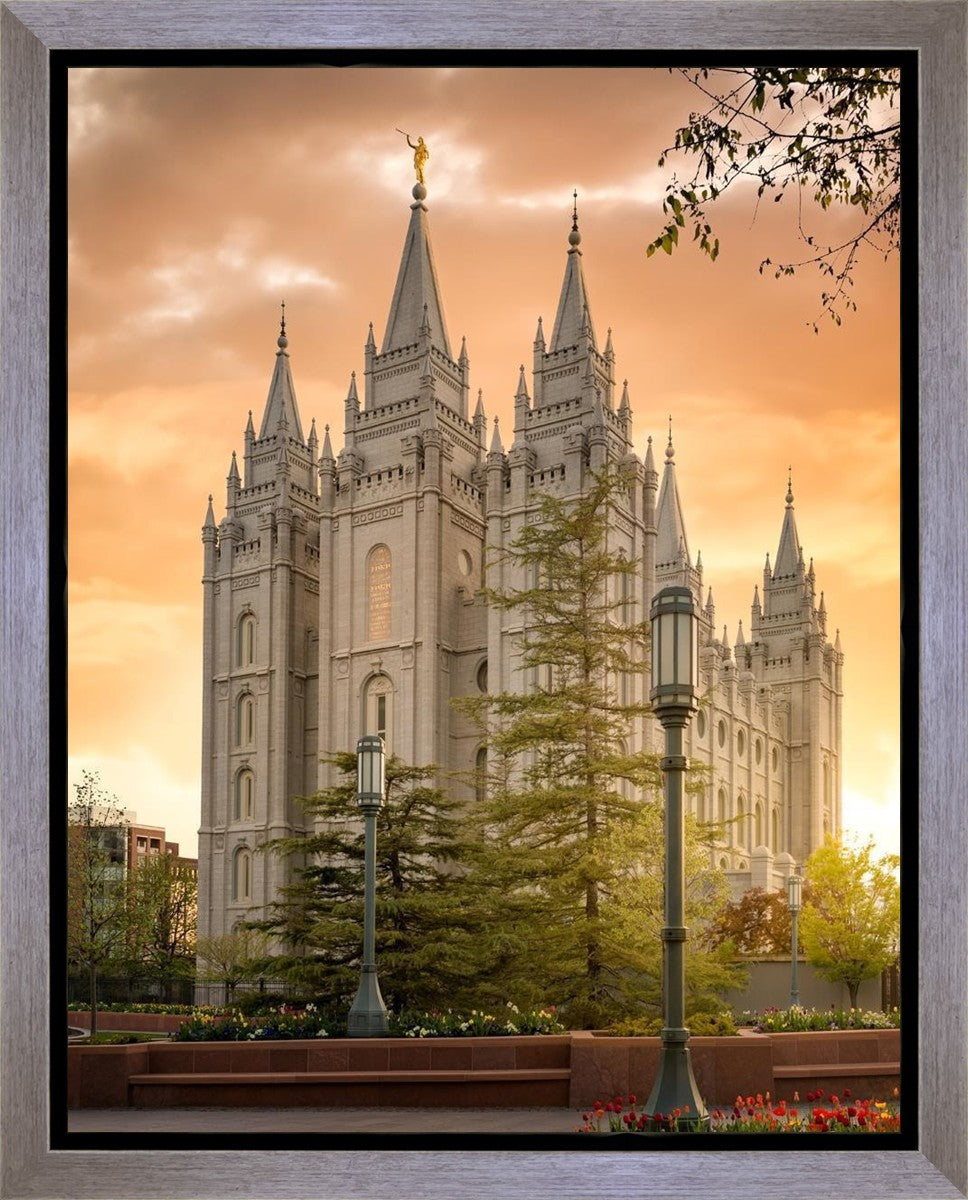 Salt Lake - The Promise Gallery Wrap