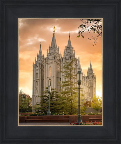 Salt Lake - The Promise