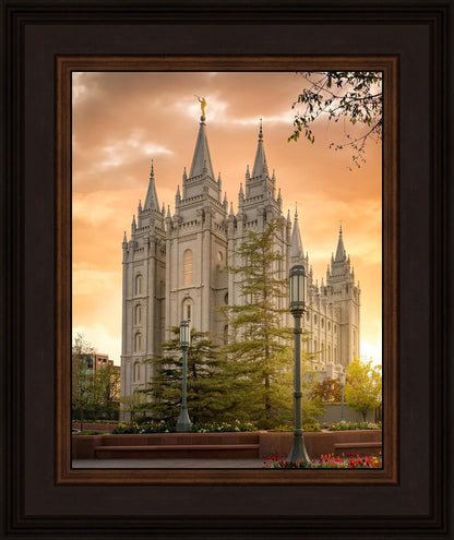 Salt Lake - The Promise