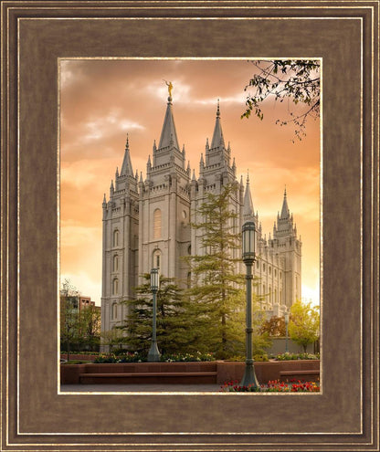 Salt Lake - The Promise