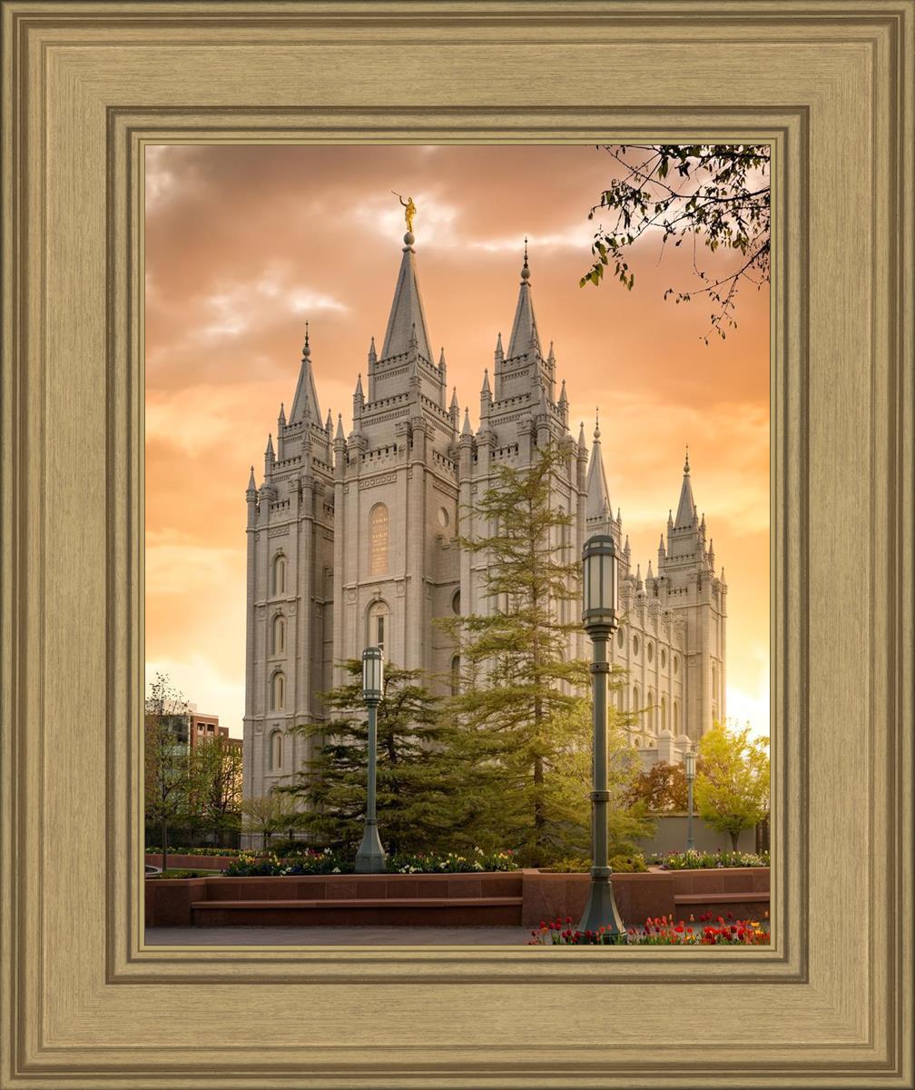 Salt Lake - The Promise