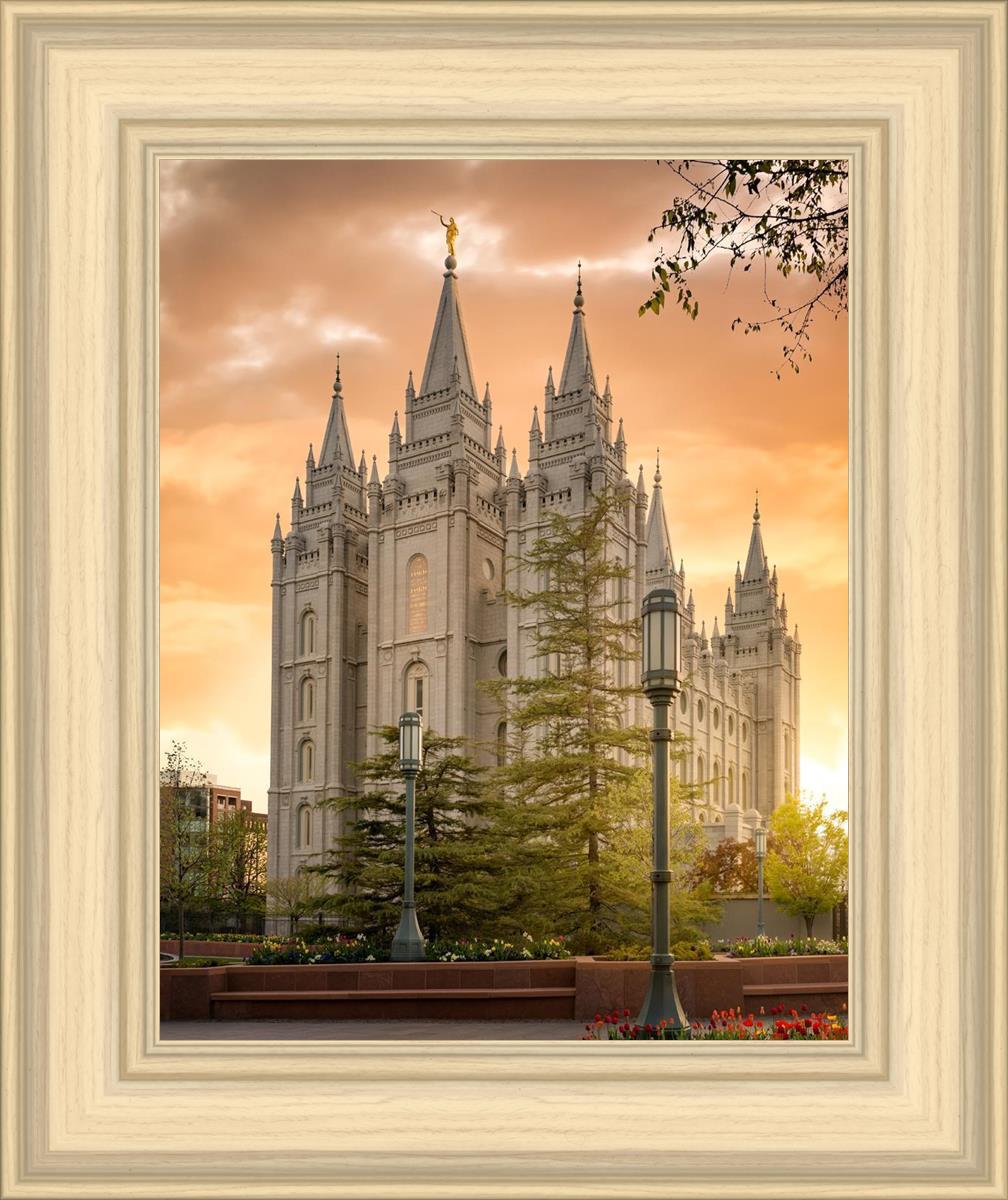 Salt Lake - The Promise