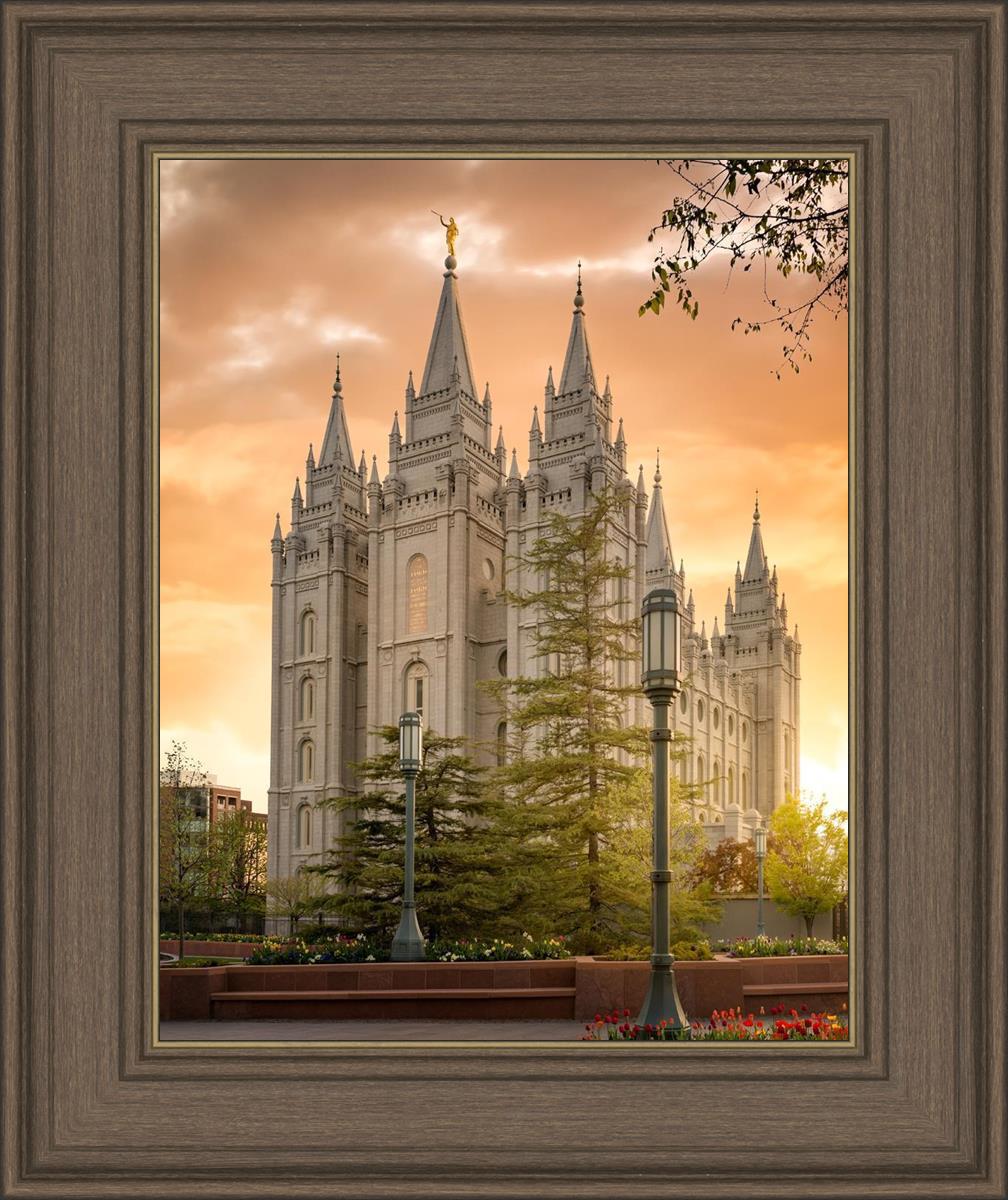 Salt Lake - The Promise