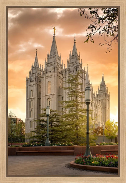 Salt Lake - The Promise