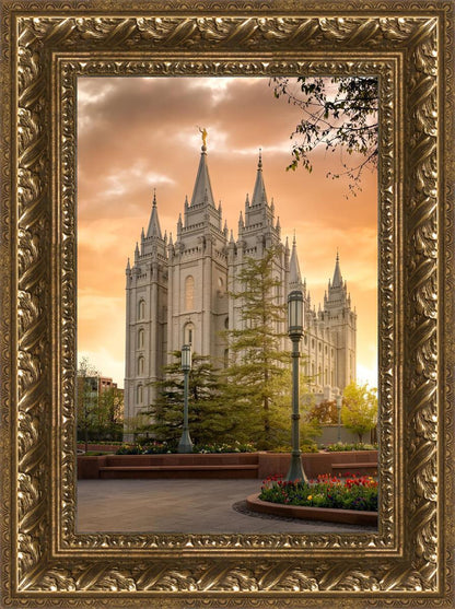 Salt Lake - The Promise