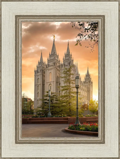 Salt Lake - The Promise