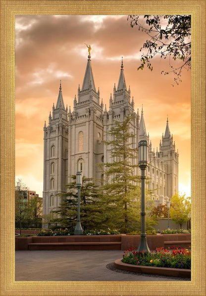 Salt Lake - The Promise