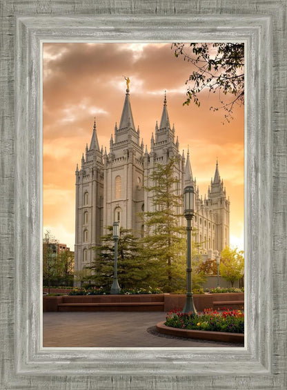 Salt Lake - The Promise