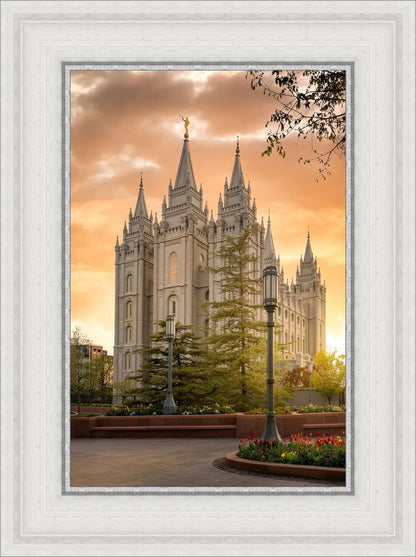 Salt Lake - The Promise