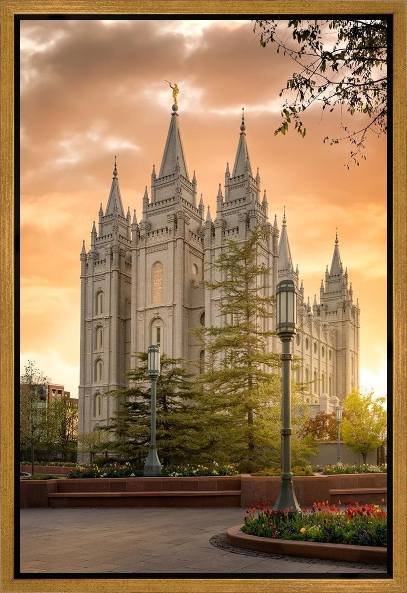 Salt Lake - The Promise Gallery Wrap