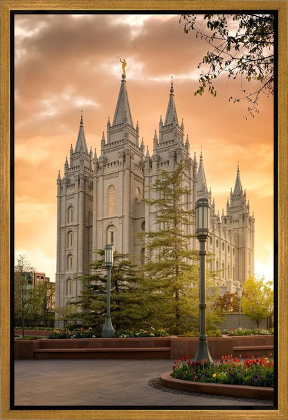 Salt Lake - The Promise