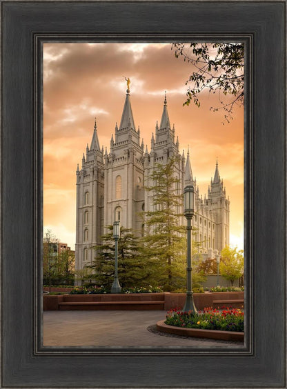 Salt Lake - The Promise