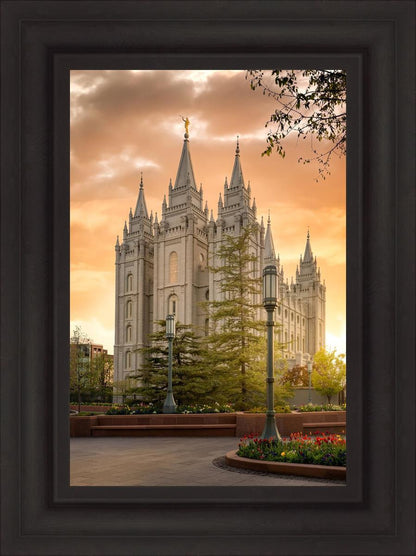 Salt Lake - The Promise