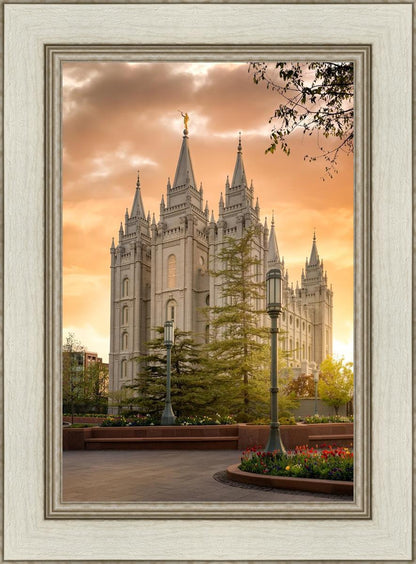 Salt Lake - The Promise