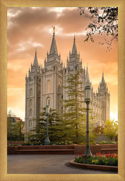 Salt Lake - The Promise