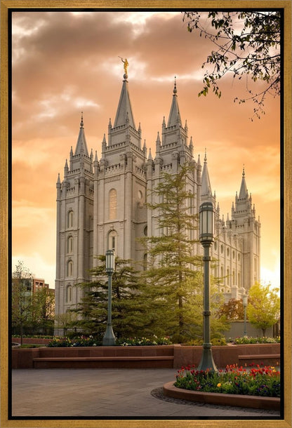 Salt Lake - The Promise