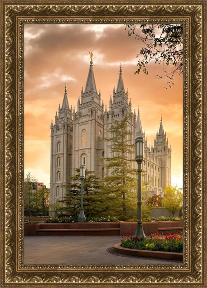 Salt Lake - The Promise