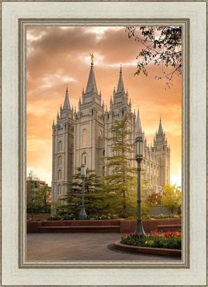 Salt Lake - The Promise