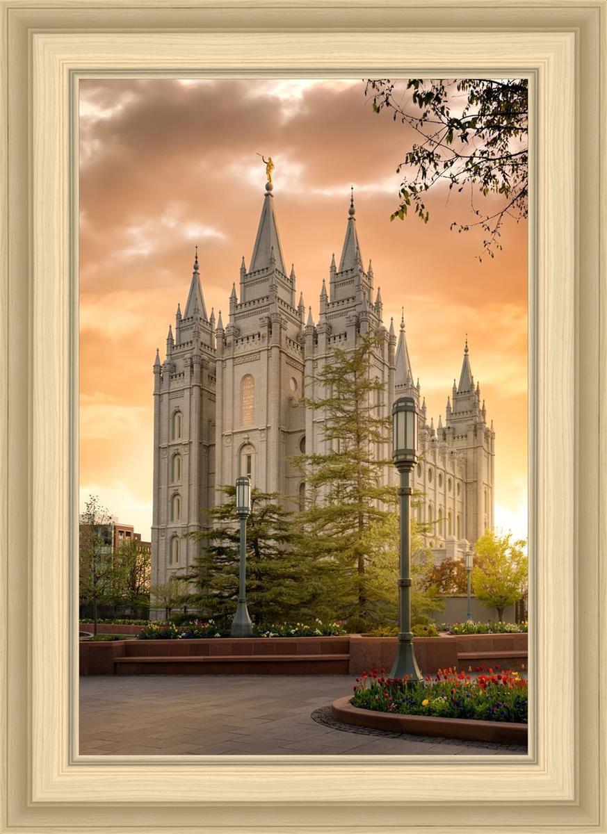Salt Lake - The Promise
