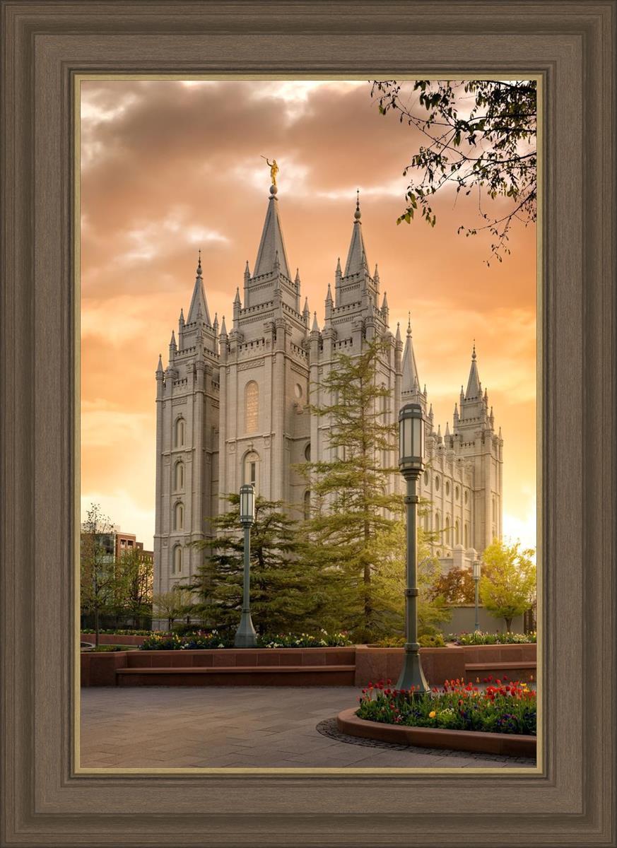 Salt Lake - The Promise