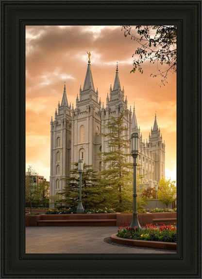 Salt Lake - The Promise