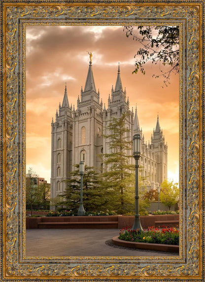 Salt Lake - The Promise