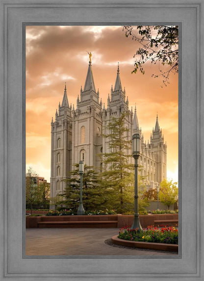 Salt Lake - The Promise