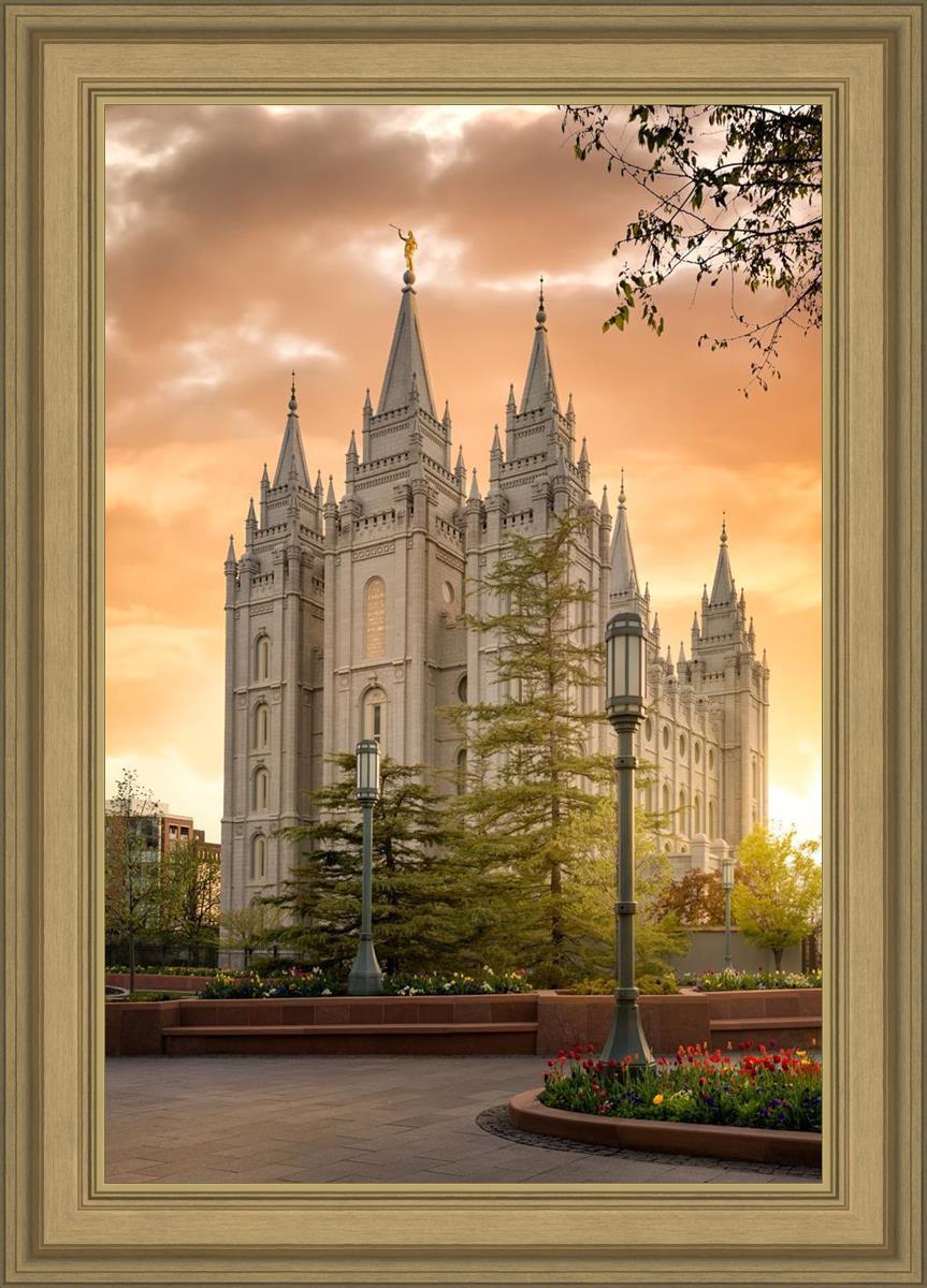 Salt Lake - The Promise