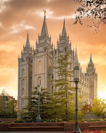 Salt Lake - The Promise