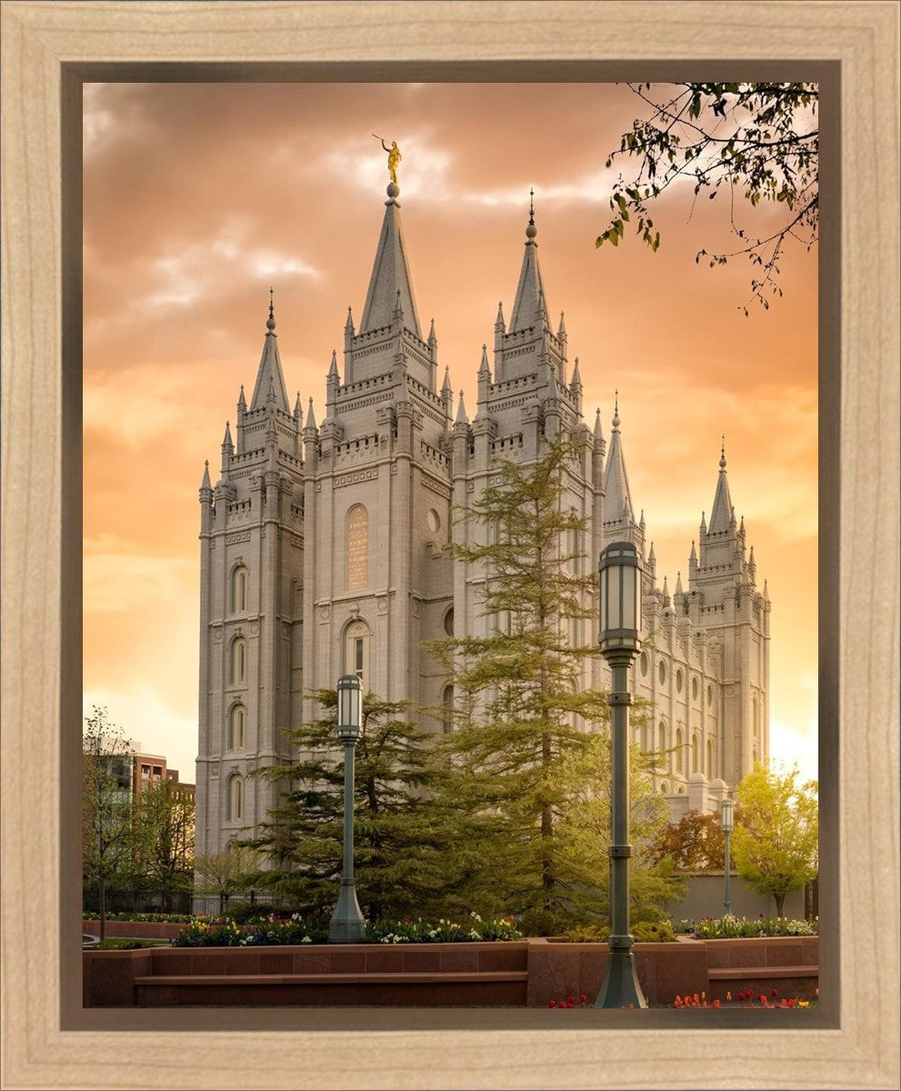 Salt Lake - The Promise Gallery Wrap