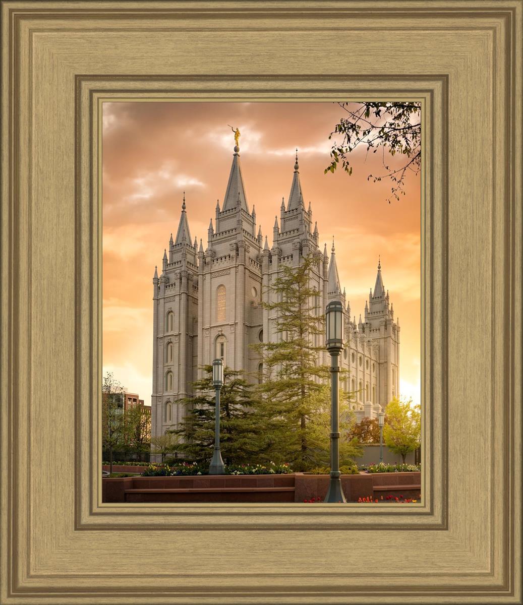 Salt Lake - The Promise
