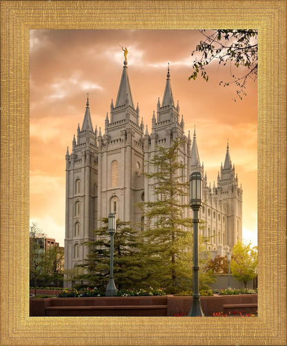 Salt Lake - The Promise