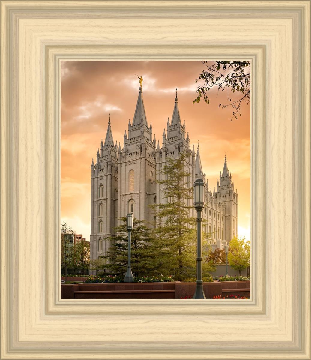 Salt Lake - The Promise