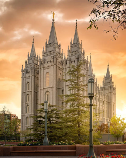 Salt Lake - The Promise