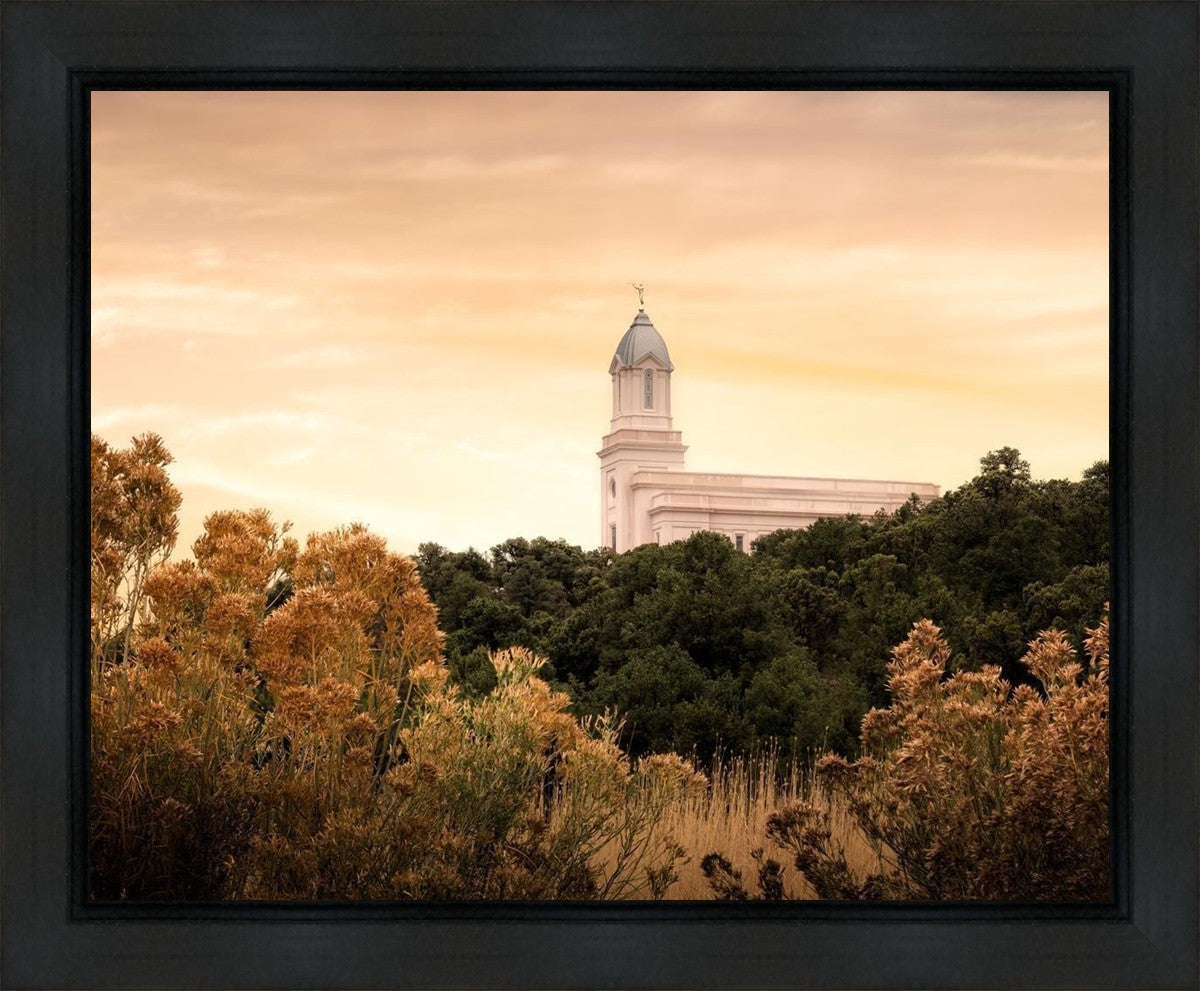 Cedar City Golden Gallery Wrap