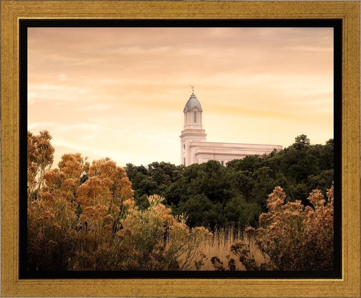 Cedar City Golden Gallery Wrap