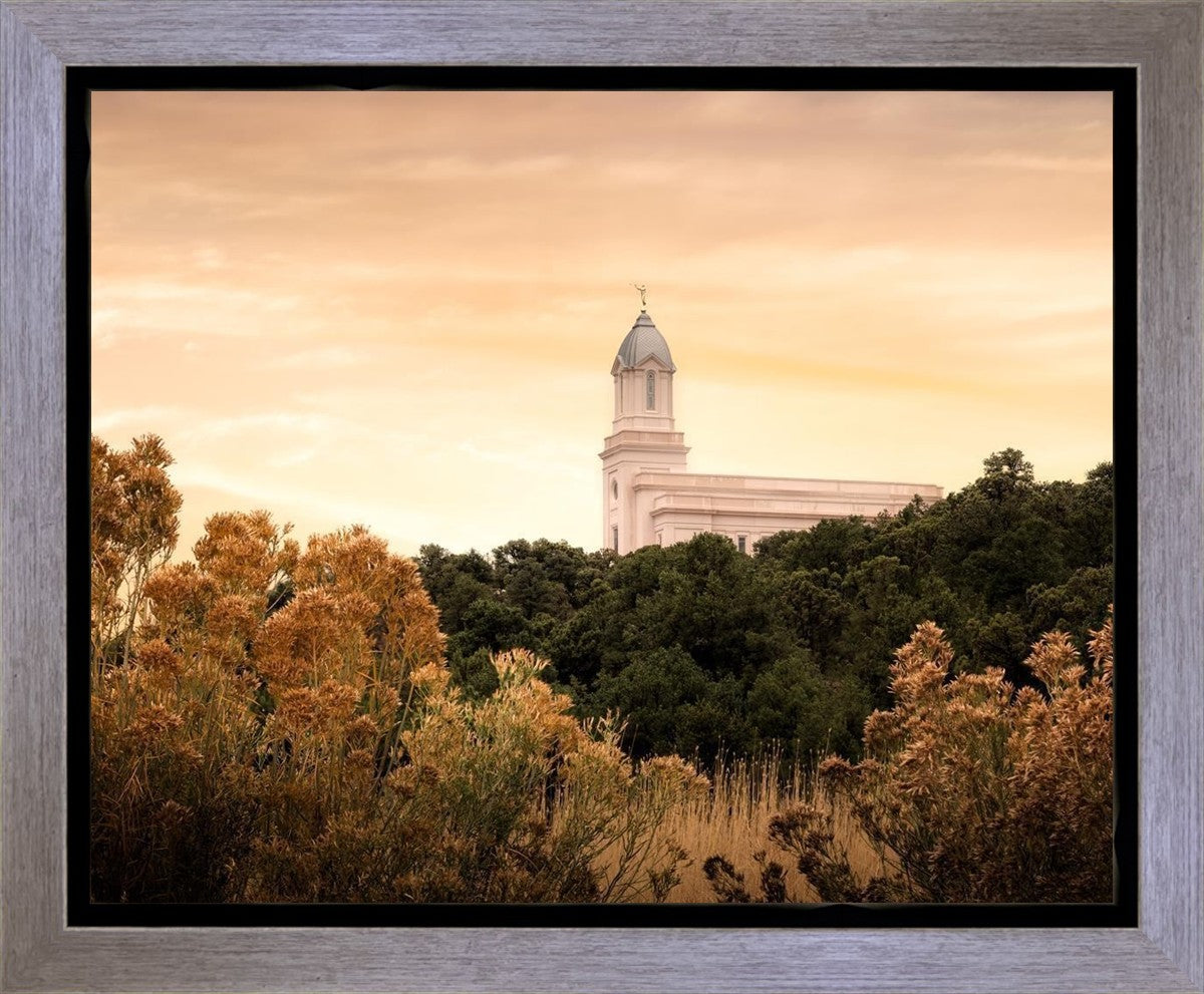 Cedar City Golden Gallery Wrap