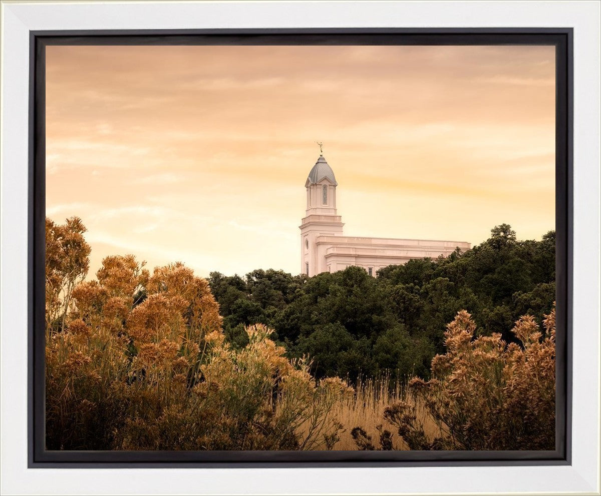 Cedar City Golden Gallery Wrap
