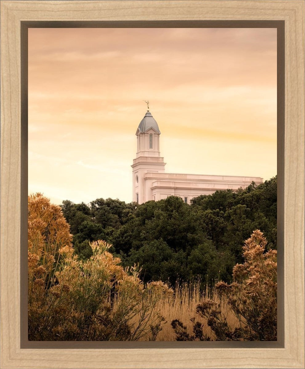 Cedar City Golden Gallery Wrap