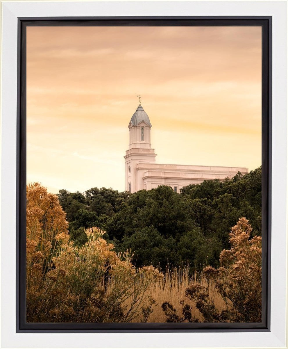 Cedar City Golden Gallery Wrap
