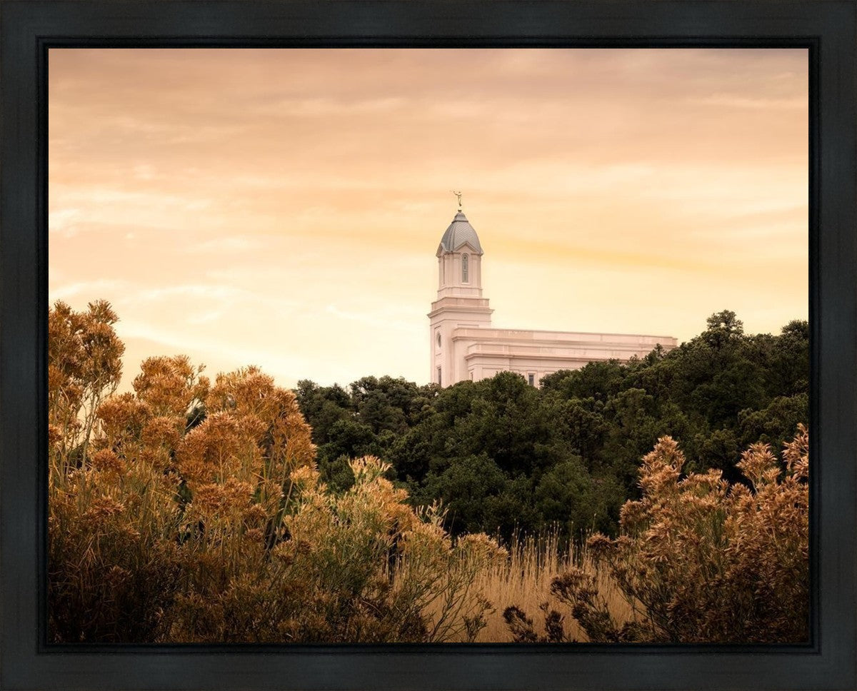 Cedar City Golden Gallery Wrap